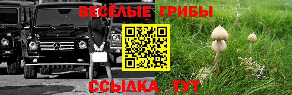 Псилоцибиновые грибы Magic Shrooms  Вход с VPN  Лесозаводск 